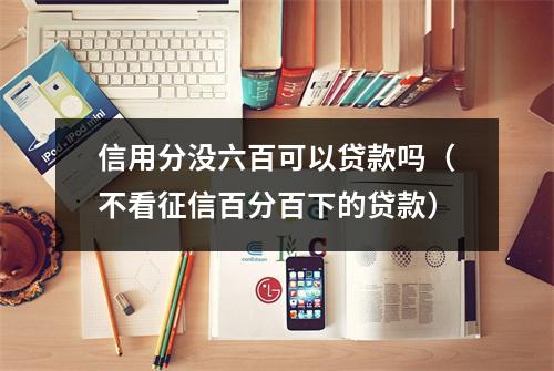信用分没六百可以贷款吗（不看征信百分百下的贷款）