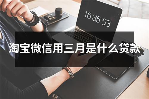 淘宝微信用三月是什么贷款