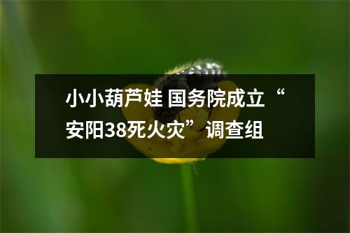 小小葫芦娃 国务院成立“安阳38死火灾”调查组