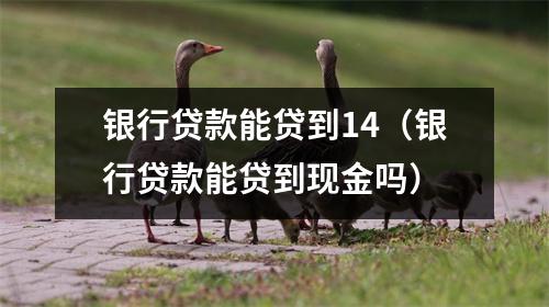 银行贷款能贷到14（银行贷款能贷到现金吗）