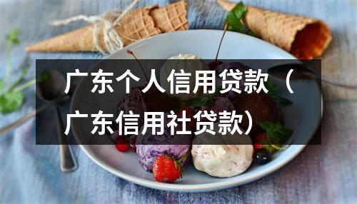 广东个人信用贷款（广东信用社贷款）