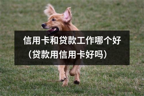 信用卡和贷款工作哪个好（贷款用信用卡好吗）