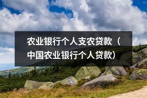 农业银行个人支农贷款（中国农业银行个人贷款）