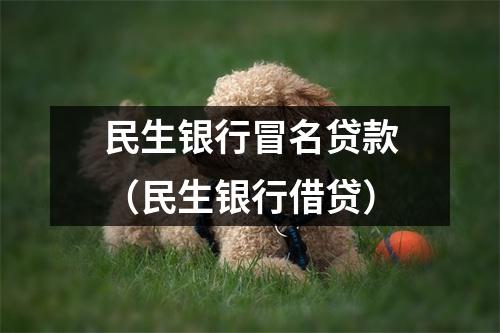 民生银行冒名贷款（民生银行借贷）