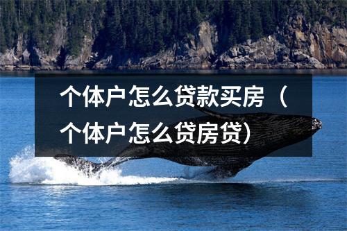 个体户怎么贷款买房（个体户怎么贷房贷）