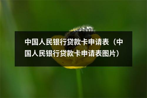 中国人民银行贷款卡申请表（中国人民银行贷款卡申请表图片）