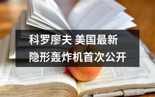 科罗廖夫 美国最新隐形轰炸机首次公开