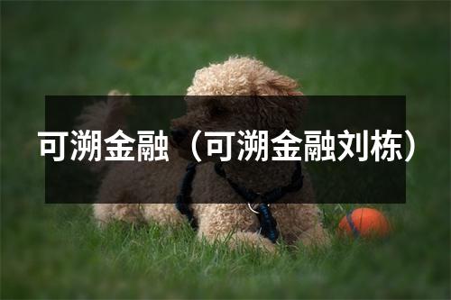 可溯金融(可溯金融刘栋)