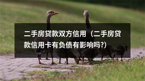 二手房贷款双方信用（二手房贷款信用卡有负债有影响吗?）