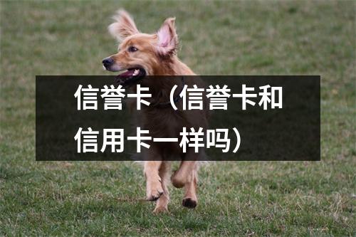 信誉卡（信誉卡和信用卡一样吗）