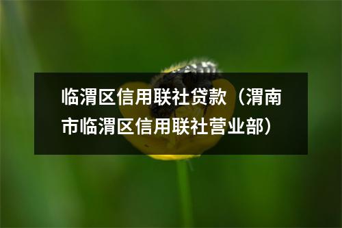临渭区信用联社贷款（渭南市临渭区信用联社营业部）