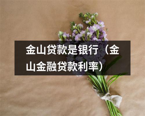 金山贷款是银行（金山金融贷款利率）