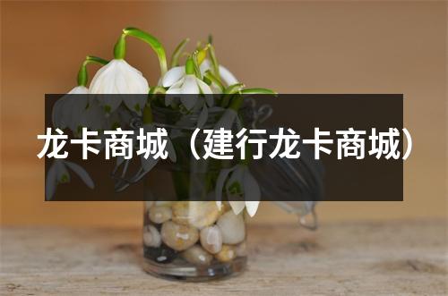 龙卡商城（建行龙卡商城）