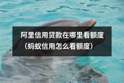 阿里信用贷款在哪里看额度（蚂蚁信用怎么看额度）