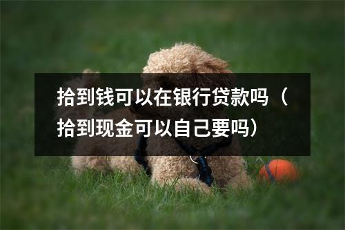 拾到钱可以在银行贷款吗（拾到现金可以自己要吗）