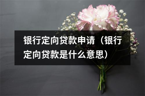 银行定向贷款申请(银行定向贷款是什么意思)