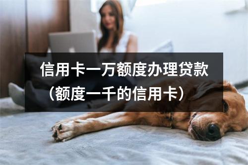 信用卡一万额度办理贷款（额度一千的信用卡）