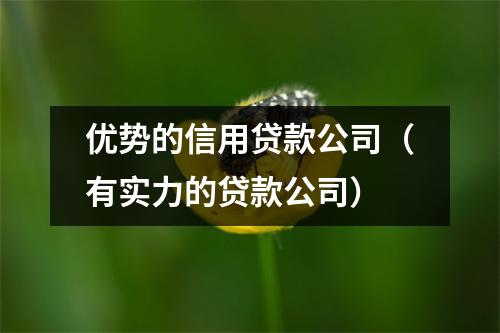 优势的信用贷款公司（有实力的贷款公司）