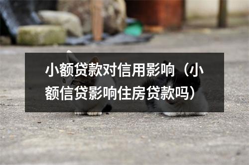 小额贷款对信用影响（小额信贷影响住房贷款吗）