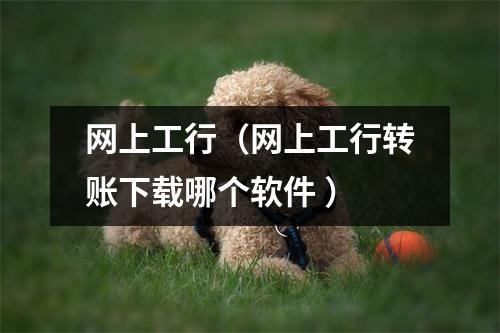 网上工行(网上工行转账下载哪个软件 )
