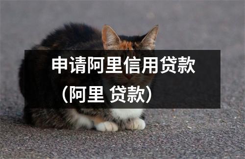 申请阿里信用贷款(阿里 贷款)