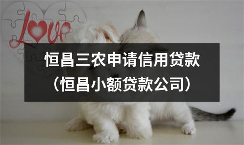 恒昌三农申请信用贷款（恒昌小额贷款公司）