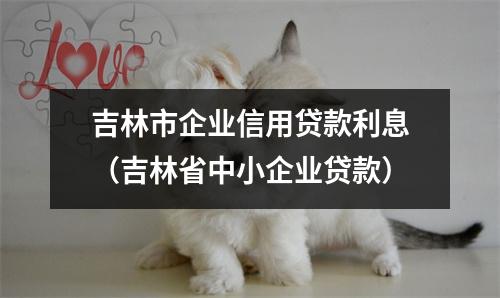 吉林市企业信用贷款利息（吉林省中小企业贷款）