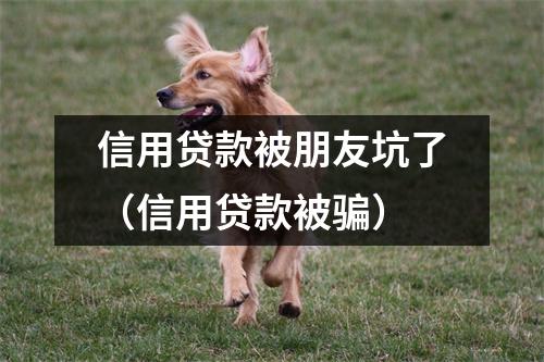 信用贷款被朋友坑了（信用贷款被骗）