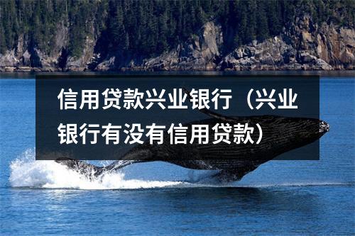 信用贷款兴业银行（兴业银行有没有信用贷款）