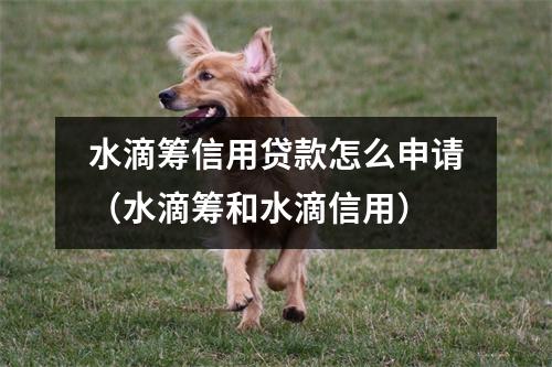 水滴筹信用贷款怎么申请（水滴筹和水滴信用）