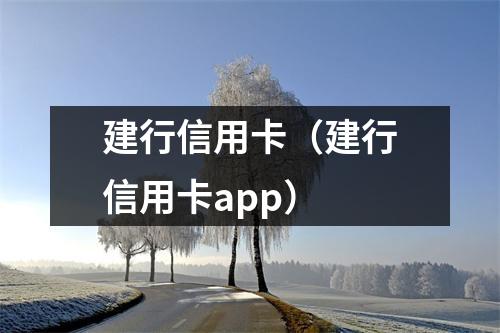建行信用卡（建行信用卡app）