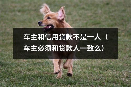 车主和信用贷款不是一人（车主必须和贷款人一致么）