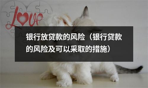 银行放贷款的风险（银行贷款的风险及可以采取的措施）