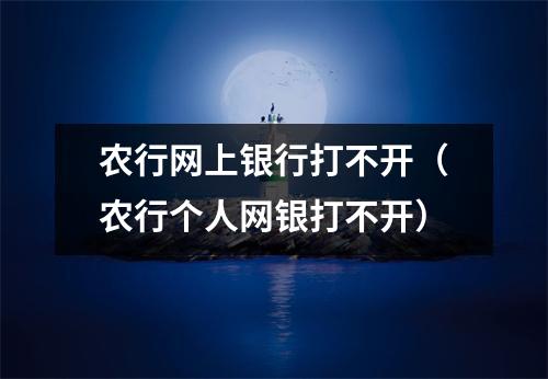 农行网上银行打不开（农行个人网银打不开）