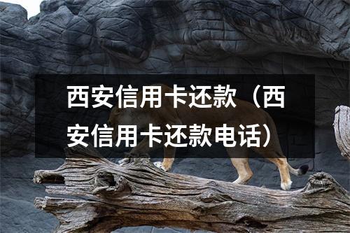 西安信用卡还款(西安信用卡还款电话)