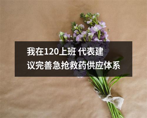 我在120上班 代表建议完善急抢救药供应体系
