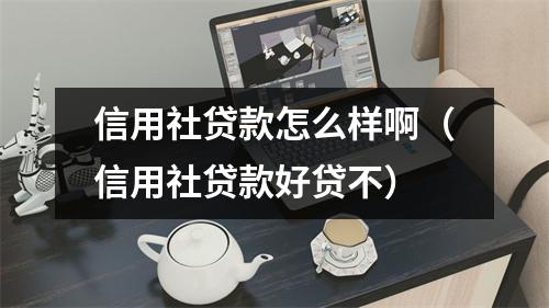 信用社贷款怎么样啊（信用社贷款好贷不）