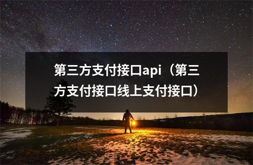第三方支付接口api（第三方支付接口线上支付接口）