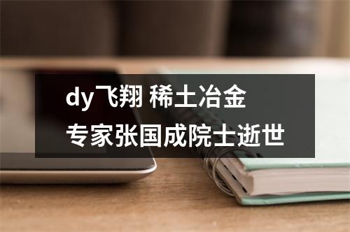 dy飞翔 稀土冶金专家张国成院士逝世