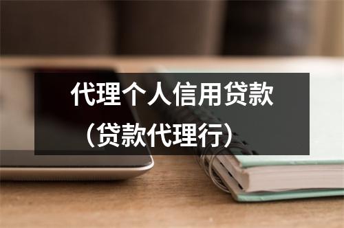 代理个人信用贷款（贷款代理行）