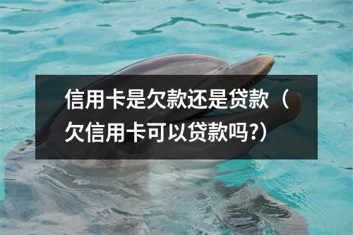 信用卡是欠款还是贷款（欠信用卡可以贷款吗?）