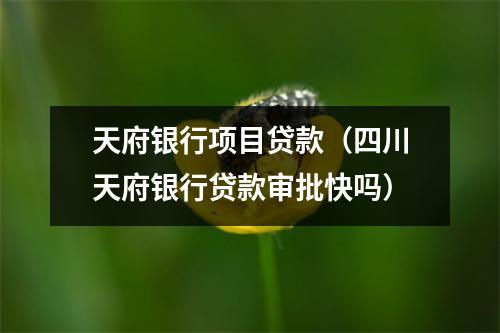 天府银行项目贷款（四川天府银行贷款审批快吗）