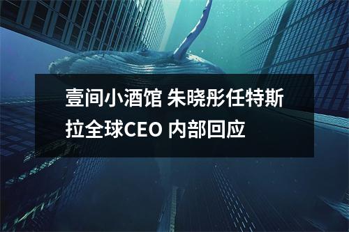 壹间小酒馆 朱晓彤任特斯拉全球CEO 内部回应