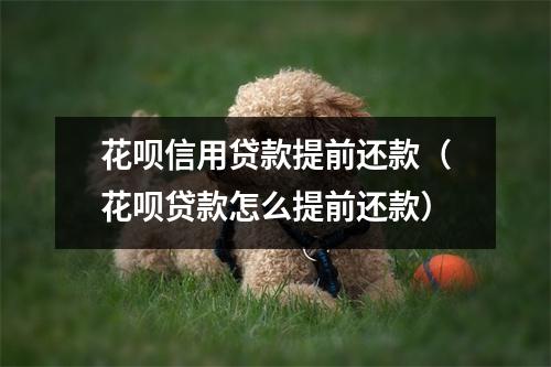 花呗信用贷款提前还款（花呗贷款怎么提前还款）
