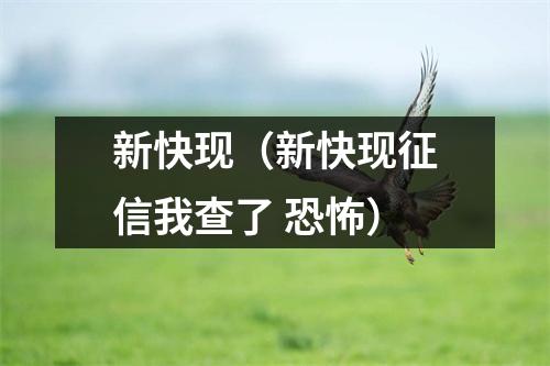 新快现（新快现征信我查了 恐怖）