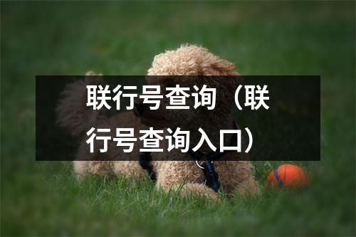 联行号查询（联行号查询入口）