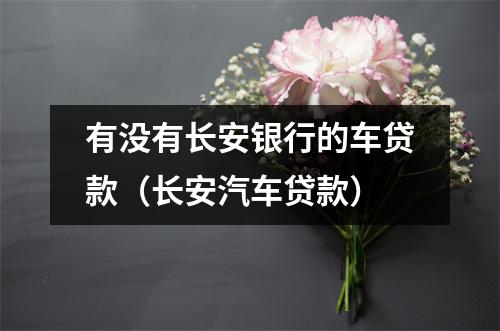有没有长安银行的车贷款（长安汽车贷款）