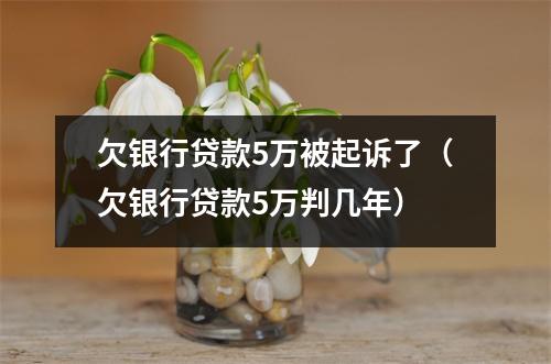 欠银行贷款5万被起诉了（欠银行贷款5万判几年）