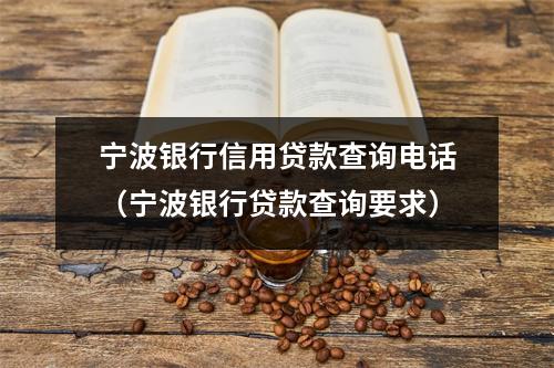 宁波银行信用贷款查询电话（宁波银行贷款查询要求）