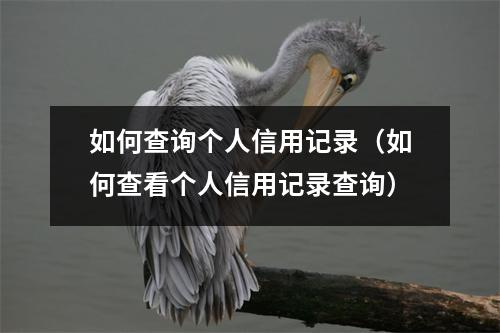 如何查询个人信用记录（如何查看个人信用记录查询）